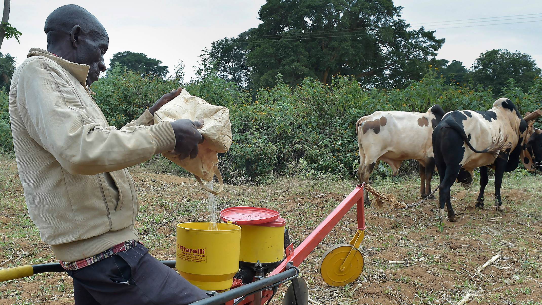 Why Conservation Agriculture matters today